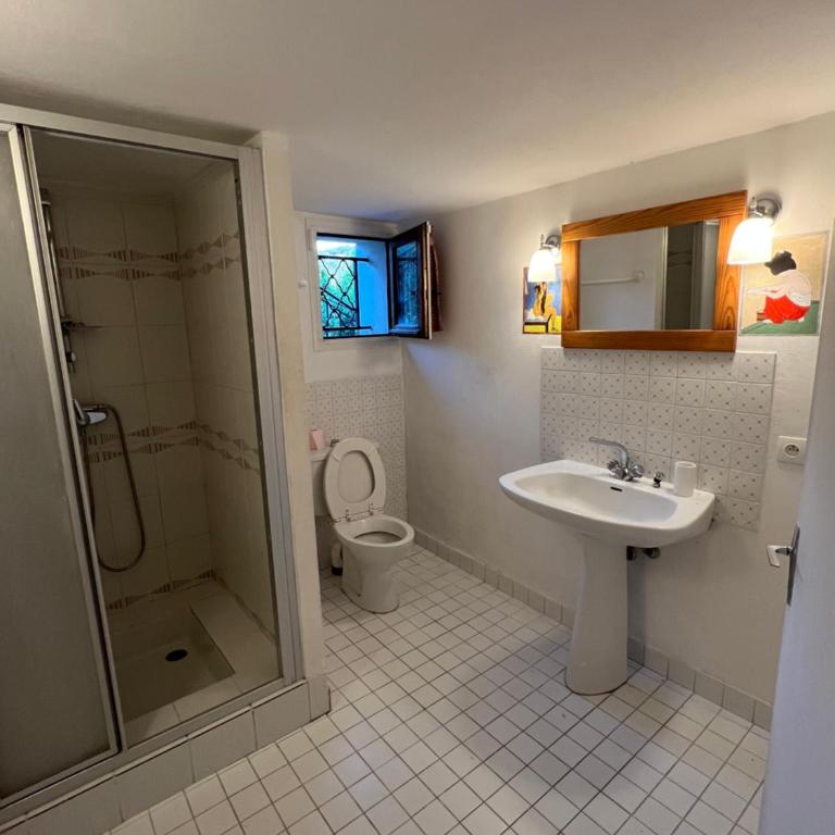 Entre Nice et Monaco grande Villa avec piscine privée 12 personnes - Villa - 60