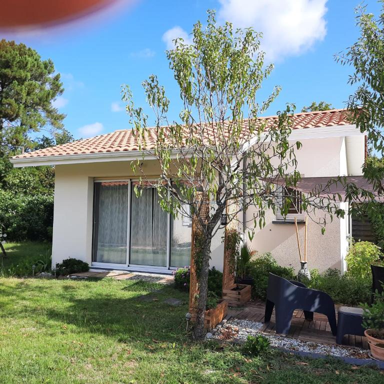 Les Amandiers - Appartement 1 Chambre - 3