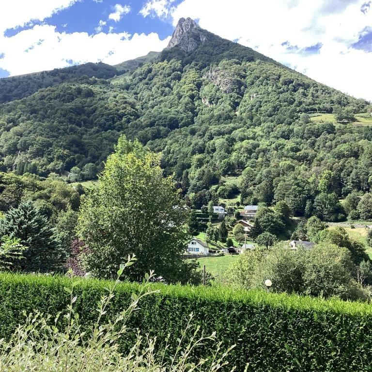 Chalet tout confort 3 chambres - Appartement - 22