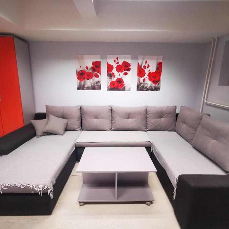 Apartman Tara - Apartman sa 1 Spavaćom Sobom - 1