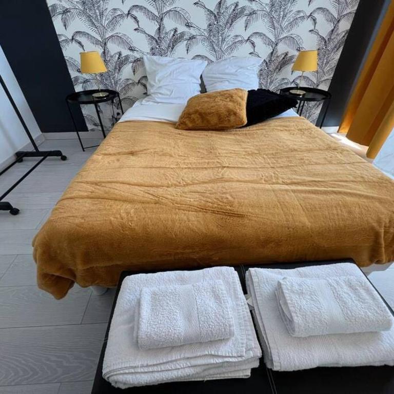 Esprit Panthère - Apartment mit 1 Schlafzimmer - 6