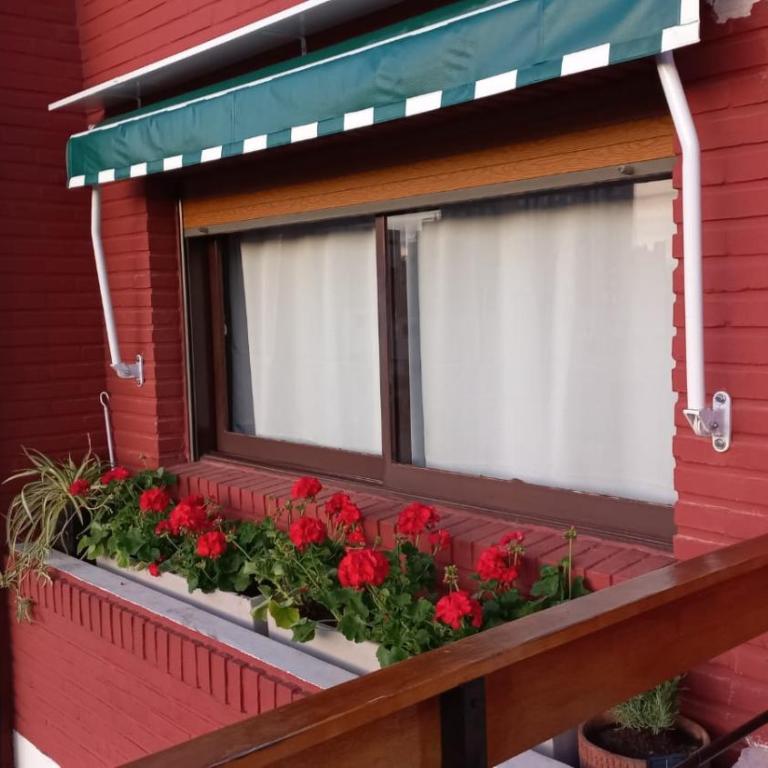 Luminoso Semipiso 2 Ambientes con Balcón Terraza - Apartamento de 1 dormitorio - 52