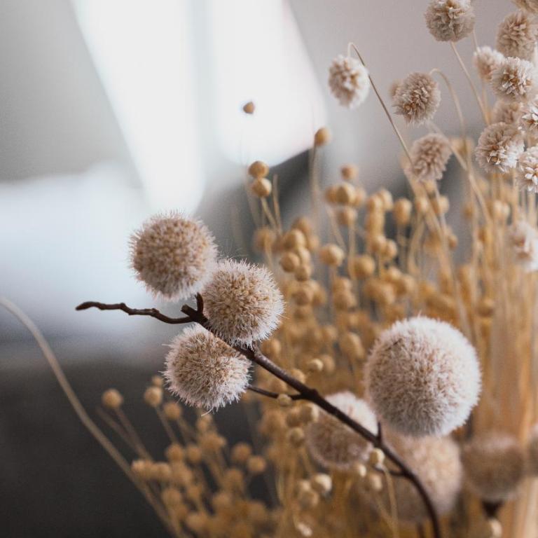 B&B Ferienwohnung mit bester Aussicht/Lage - Apartment mit 1 Schlafzimmer - 7