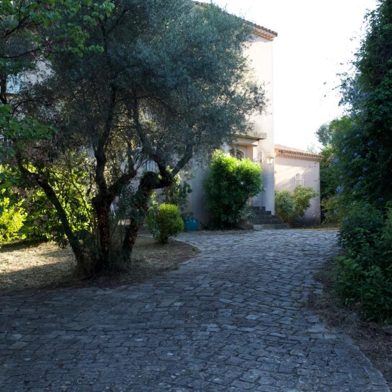 Villa Grand Cèdre - Villa - 14