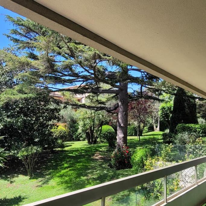Cannes centre beau 2 pièces 50 M2 plus terrasse à 12 min plages et Palais au calme - Appartement 1 Chambre - 1