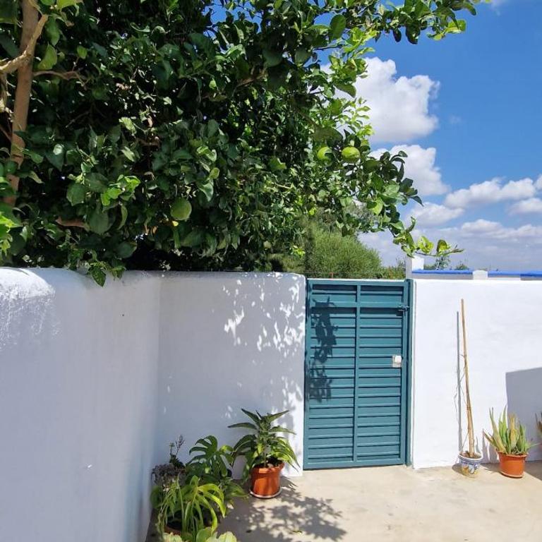 Casa El Limonero N 11 A - Apartment mit 2 Schlafzimmern - 21