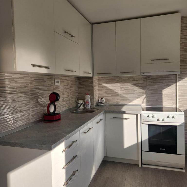Stan na dan Nova Varoš - Apartman sa 1 Spavaćom Sobom - 1
