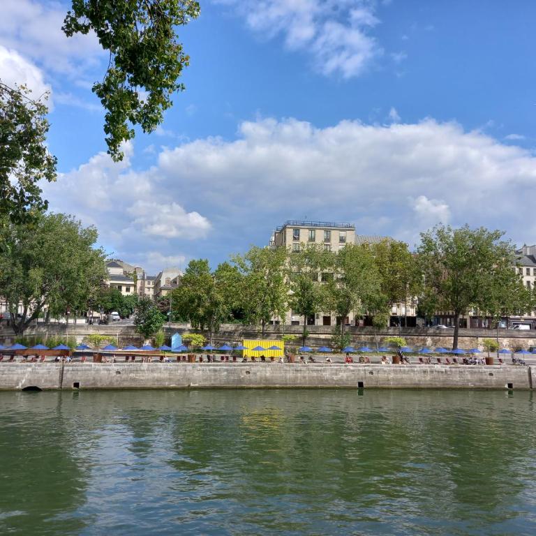 ILE SAINT-LOUIS GLAMOROUS FLAT - Appartement - 14