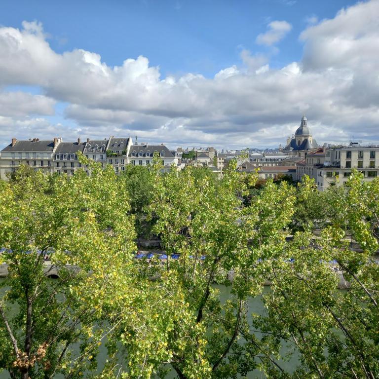 ILE SAINT-LOUIS GLAMOROUS FLAT - Appartement - 15