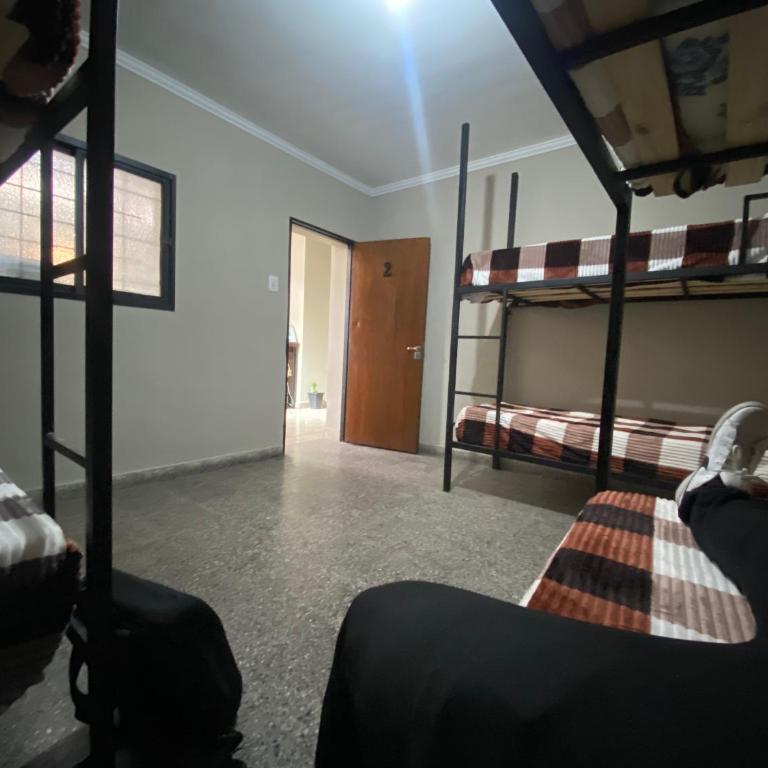 Urban Jungle Hostel - Cama Individual en habitación compartida femenina - 2