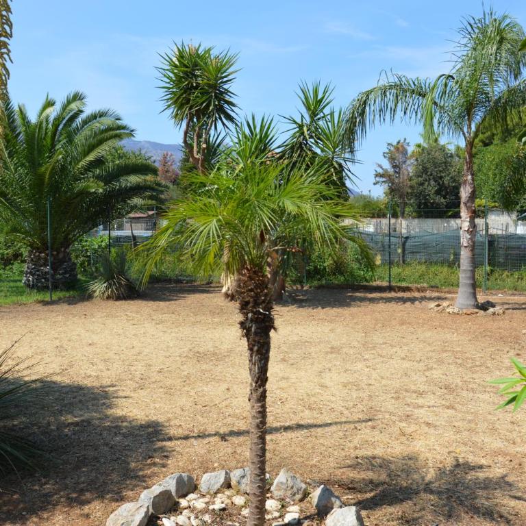 La casetta nel verde - One-Bedroom House - 10