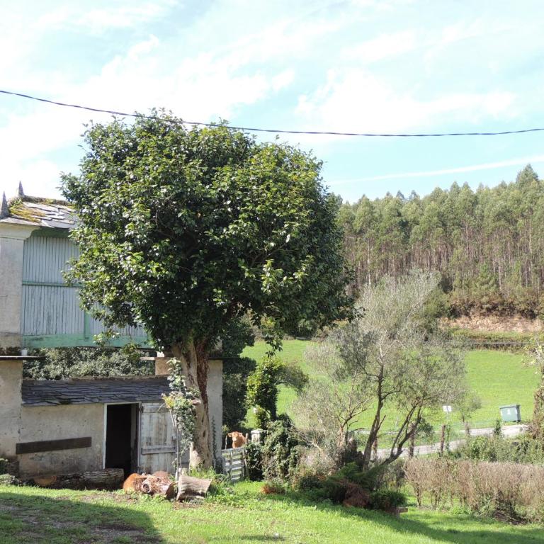 Casa de Campo Pumarada de Oirín - Casa de 4 dormitorios - 2