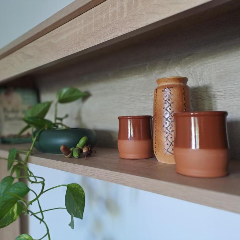 SM apartman - One-Bedroom Apartment - 3