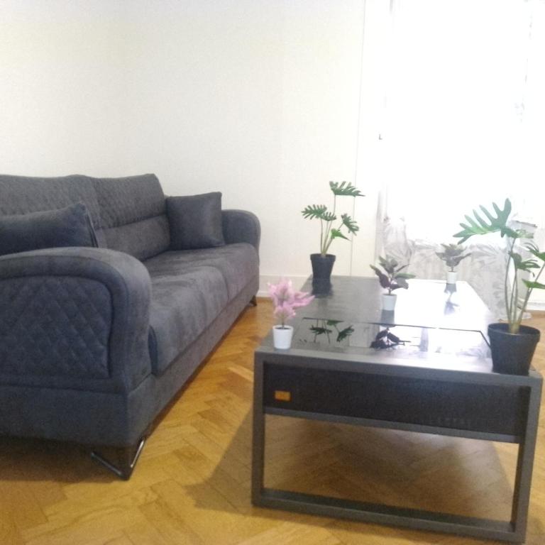 Charming flat center and near the lake - Chambre Familiale avec Salle de Bains - 15