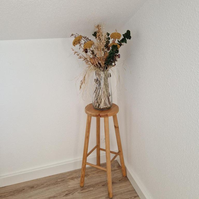 Les flamants roses de la Capte T2 - Appartement 1 Chambre - 15