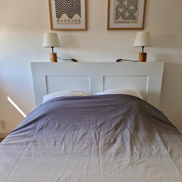 Les flamants roses de la Capte T2 - Appartement 1 Chambre - 11