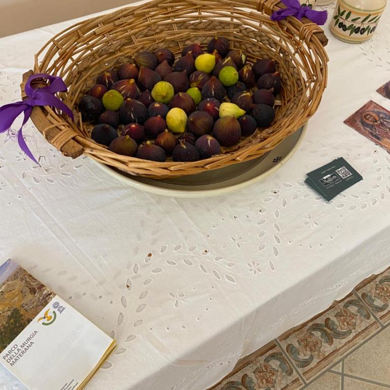 Villa Vittoria - Appartamento con doccia - 7