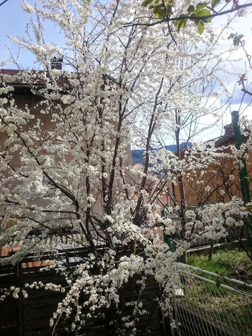 Spacious Condo near Baščaršija - Free Parking - Apartman sa 2 Spavaće Sobe - 19