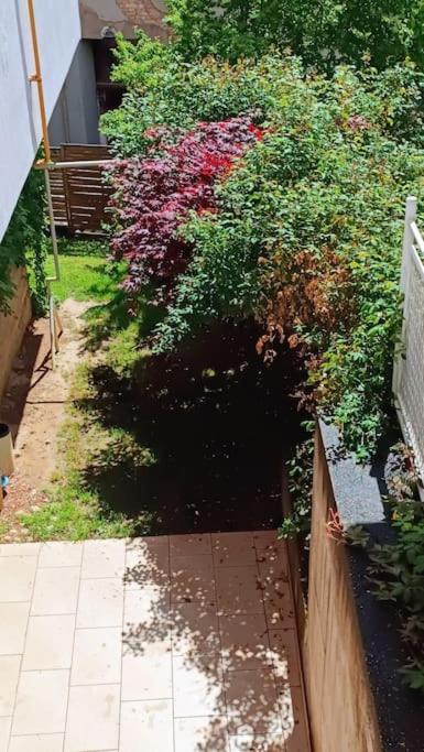 Spacious Condo near Baščaršija - Free Parking - Two-Bedroom Apartment - 16