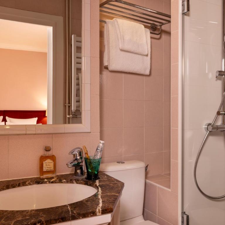 Hôtel Le Saint Gregoire - Chambre Double Classique - 18