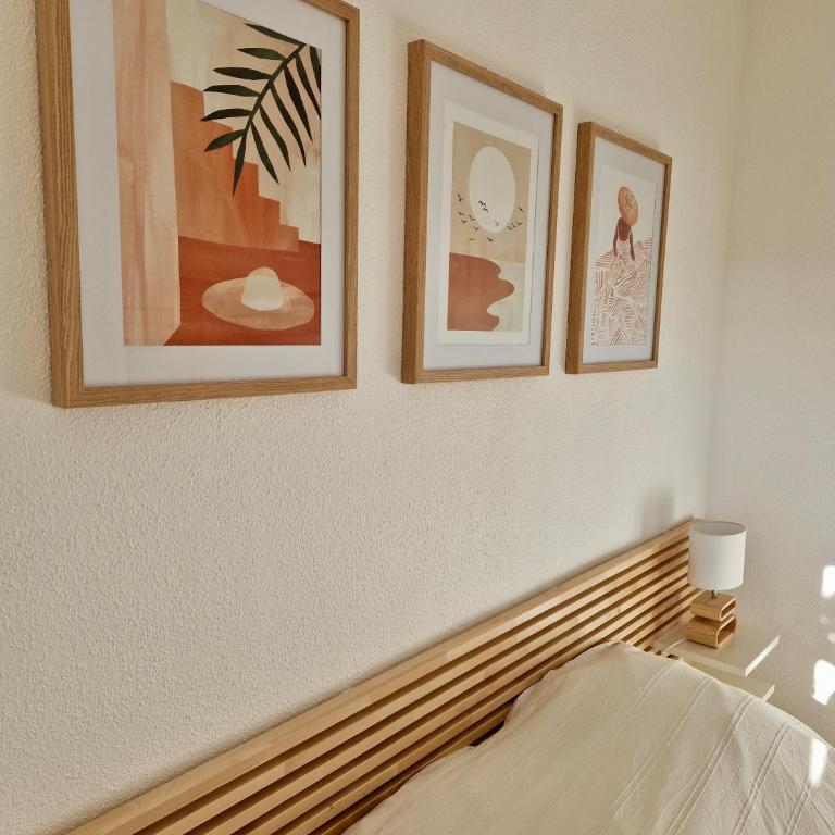 Les flamants roses de la Capte T3 - Appartement 2 Chambres - 20