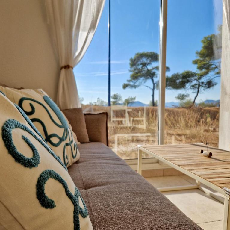 Les flamants roses de la Capte T3 - Appartement 2 Chambres - 1