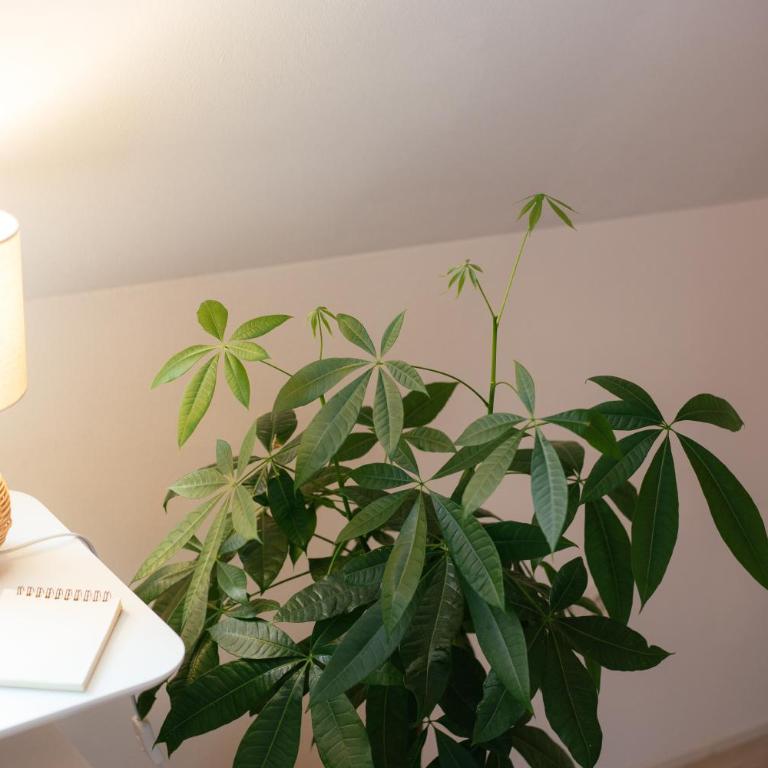 JAMA - Altstadt, WLAN, Arbeitsplatz, Modern Boho #3 - Apartment mit 1 Schlafzimmer - 8