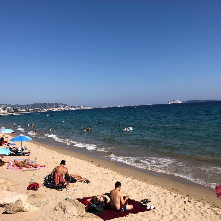 Cannes Terrace Beach Front & Sea view - Apartment mit Terrasse - 81