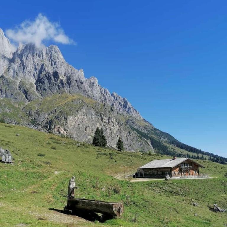 Bio Schartenalm - Chalet mit 3 Schlafzimmern - 37