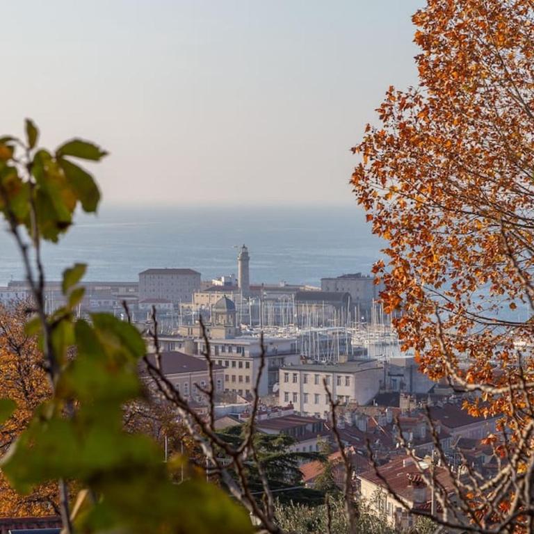 Apartments Trieste Centro I S. Michele 1 - Appartamento con 1 Camera da Letto - 25