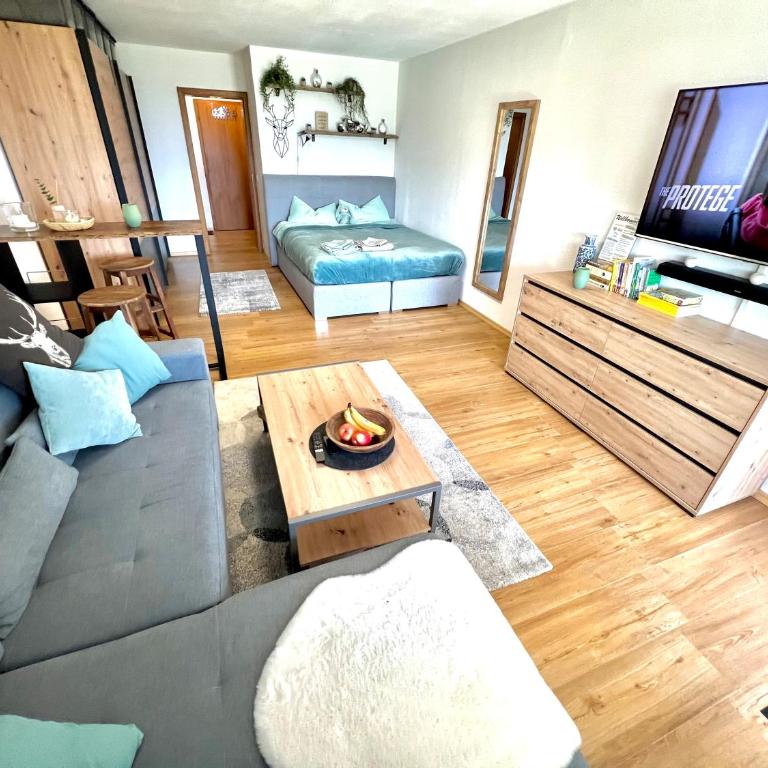 Moderne, 1-Zimmer Ferienwohnung mit Bergblick - Appartement 1 Chambre - 3