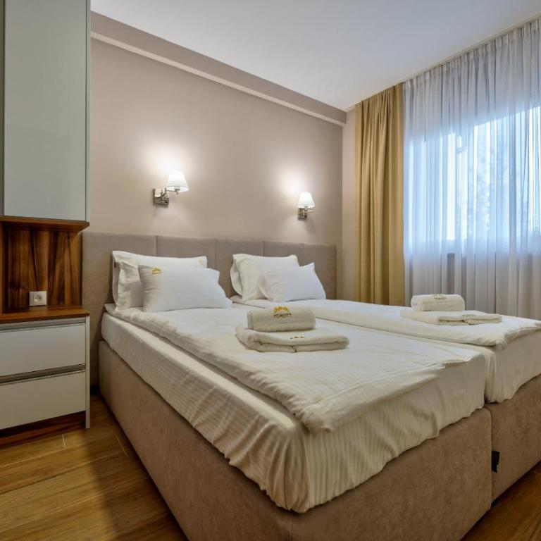 The Forest Zlatibor - Apartman sa 1 Spavaćom Sobom - 12