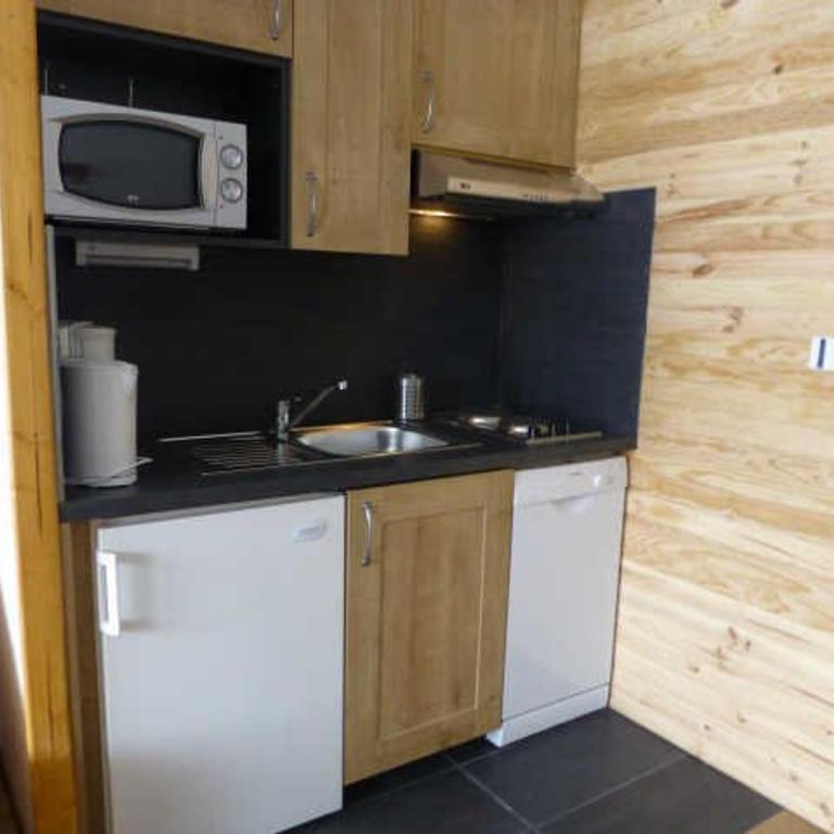 Studio 5 pers. lumineux à 100m des pistes avec balcon, casier à skis et animaux acceptés - Appartement 1 Chambre - 5