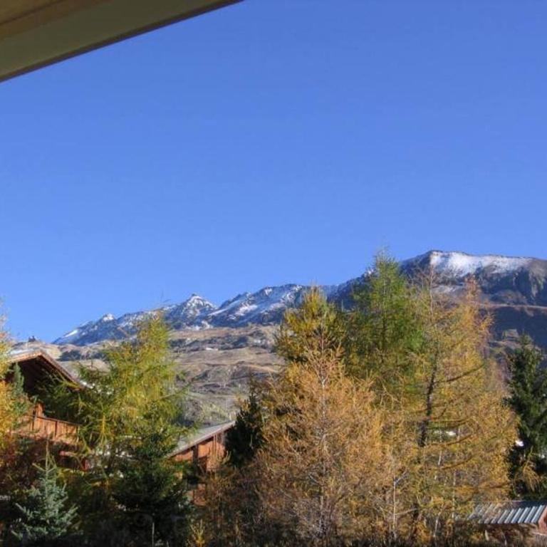 Studio 4 pers, coeur station, prox pistes, balcon, animaux OK, TV, cuisine équipée, casier à skis - Appartement 1 Chambre - 2