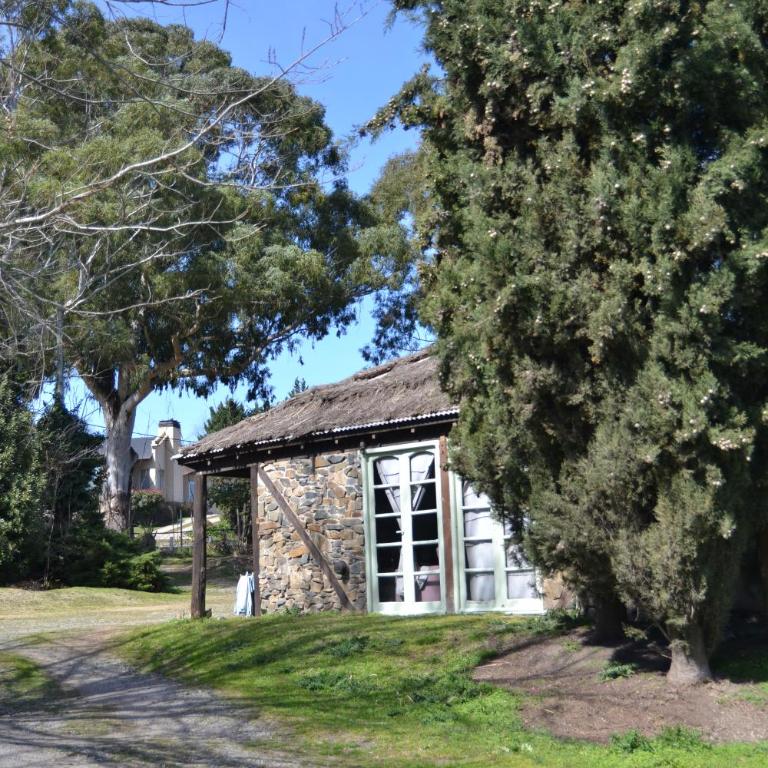 Departamento de la sierra - One-Bedroom Apartment - 11