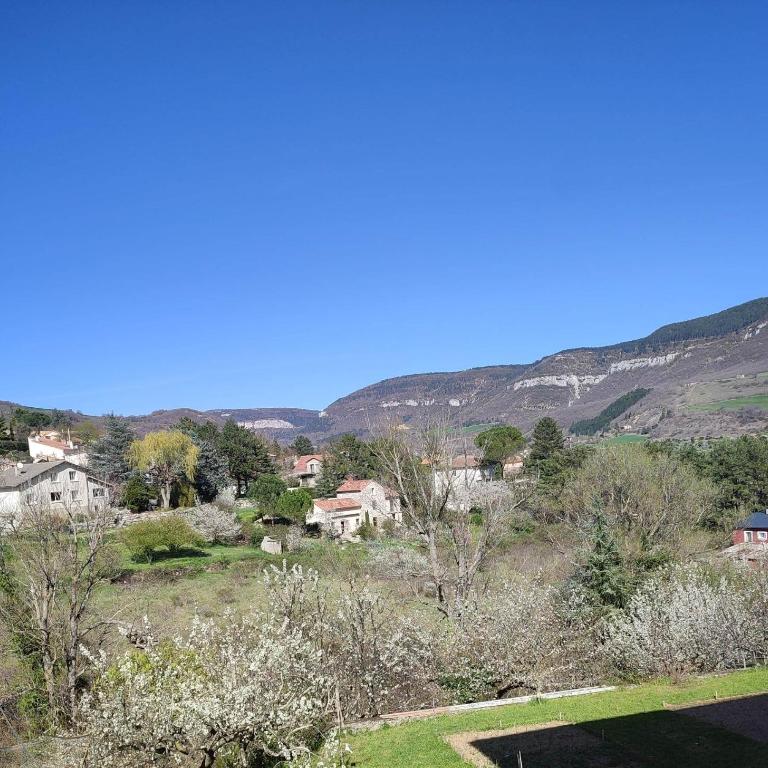 Logement avec terrasse Millau - Appartement 1 Chambre - 10