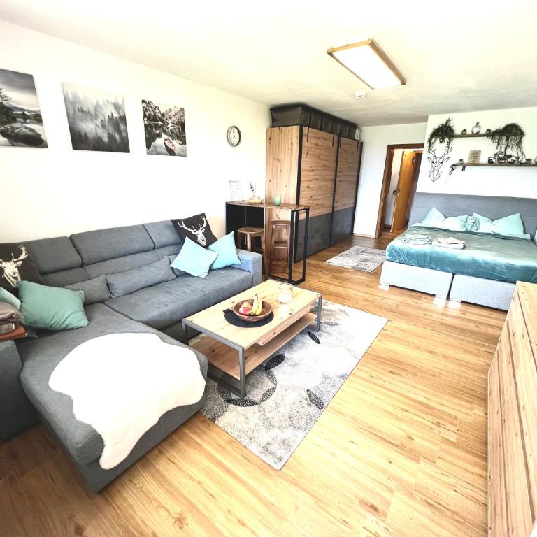 Moderne, 1-Zimmer Ferienwohnung mit Bergblick - Appartement 1 Chambre - 4