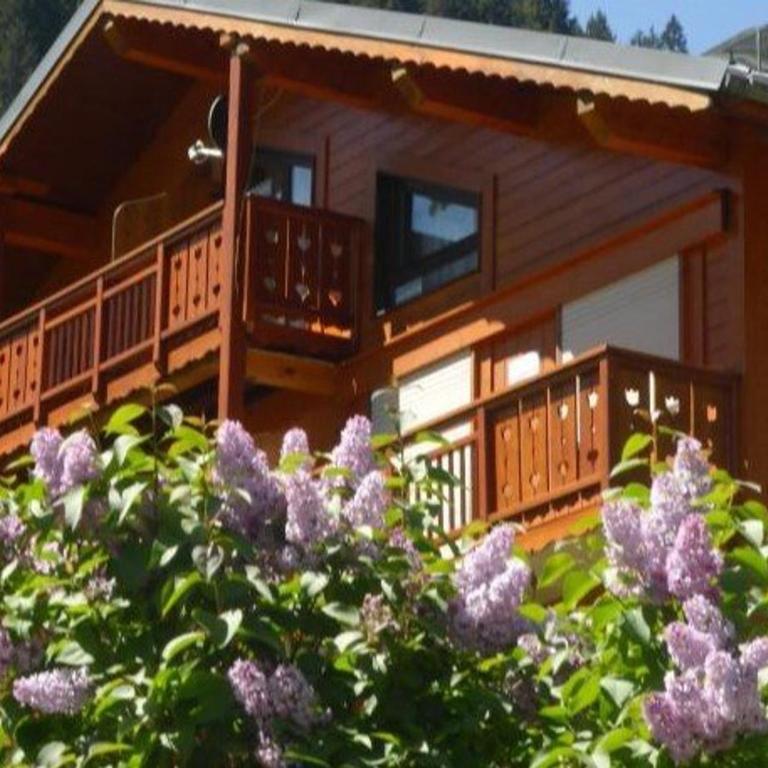 Duplex ski aux pieds pour 6 pers, bien équipé - Appartement 2 Chambres - 9