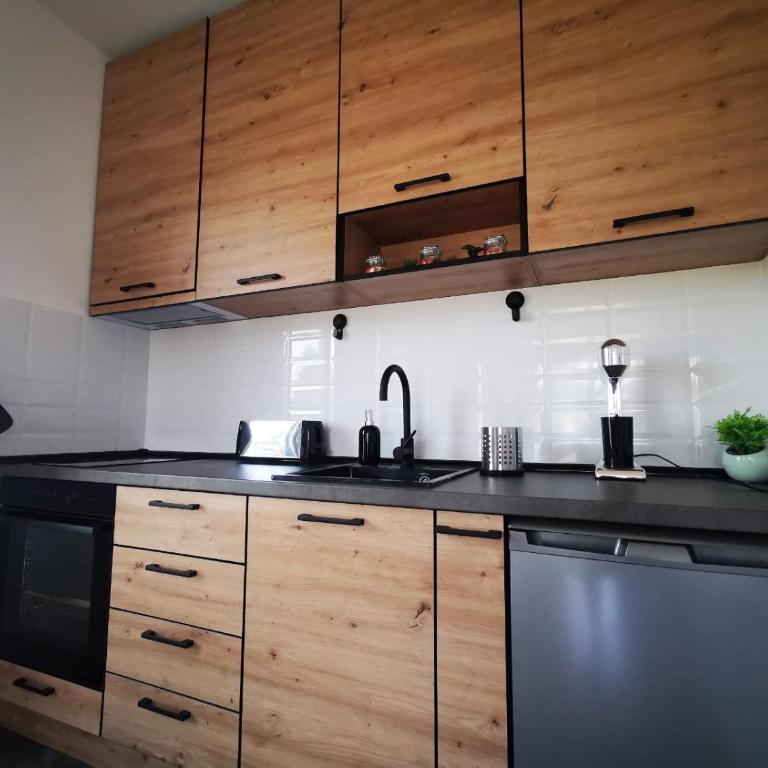 Apartman 982 Divčibare - Apartman sa 1 Spavaćom Sobom - 9