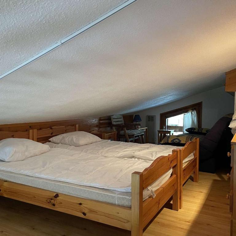 Appartement 2 pièces à Praz-sur-Arly - 5 personnes, proche des pistes, animaux acceptés, parking - Appartement 1 Chambre - 9
