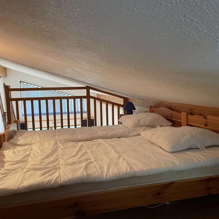 Appartement 2 pièces à Praz-sur-Arly - 5 personnes, proche des pistes, animaux acceptés, parking - Appartement 1 Chambre - 10