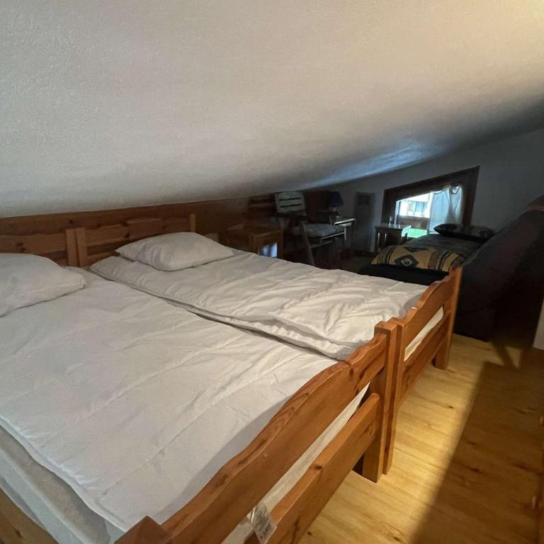 Appartement 2 pièces à Praz-sur-Arly - 5 personnes, proche des pistes, animaux acceptés, parking - Appartement 1 Chambre - 11