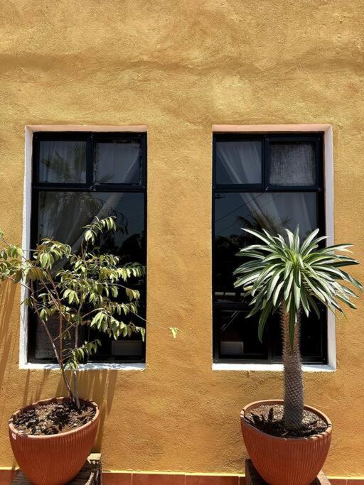 Authentic Loft Retreat Steps from Beach & Culture - Apartamento - 23