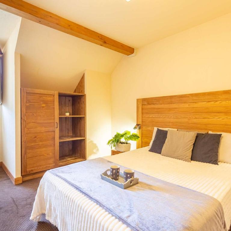Appartement duplex au centre de Saint-Lary-Soulan avec piscine - FR-1-296-392 - Appartamento - 10
