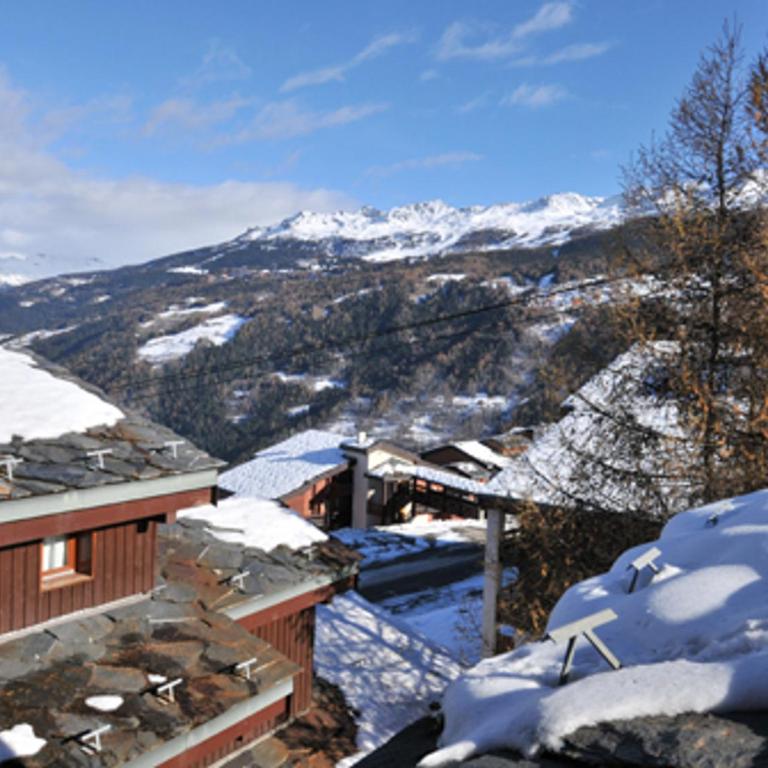 Studio cosy avec lits superposés, terrasse, animaux admis - Studio - 11