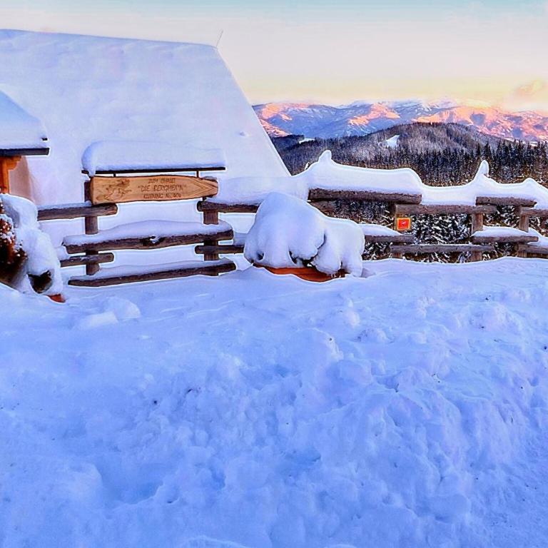 Chalet in Bad Leonhard near Klippitztörl Slopes - Superior Chalet - 22