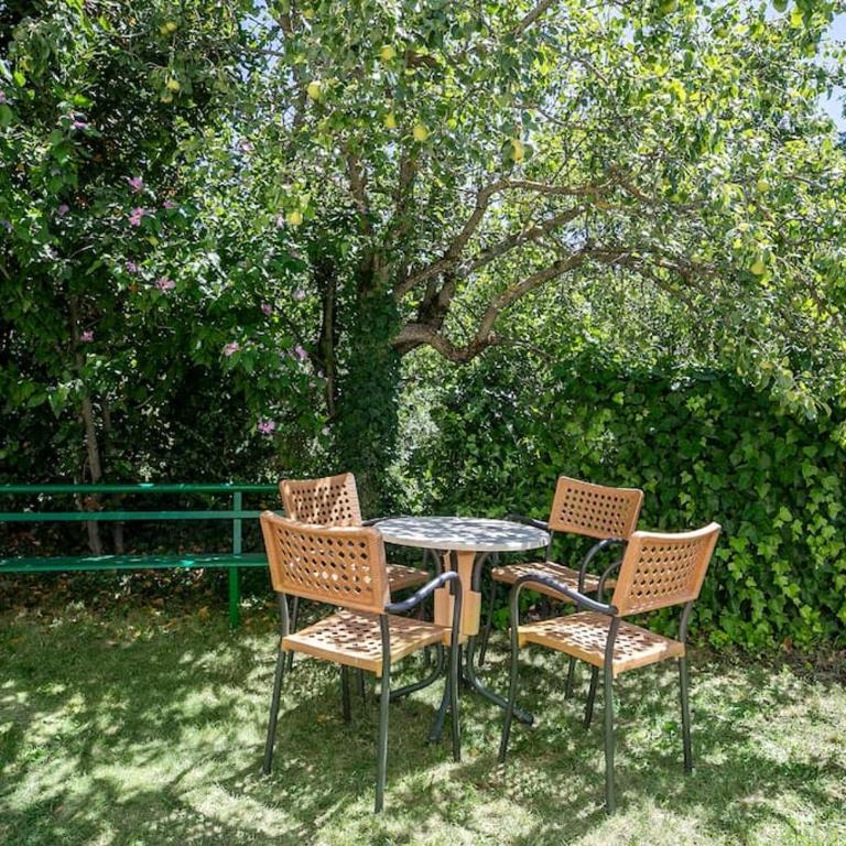 Casa Feli - APARTAMENTO con JARDÍN PRIVADO en los PIRINEOS - Apartment mit 2 Schlafzimmern - 32