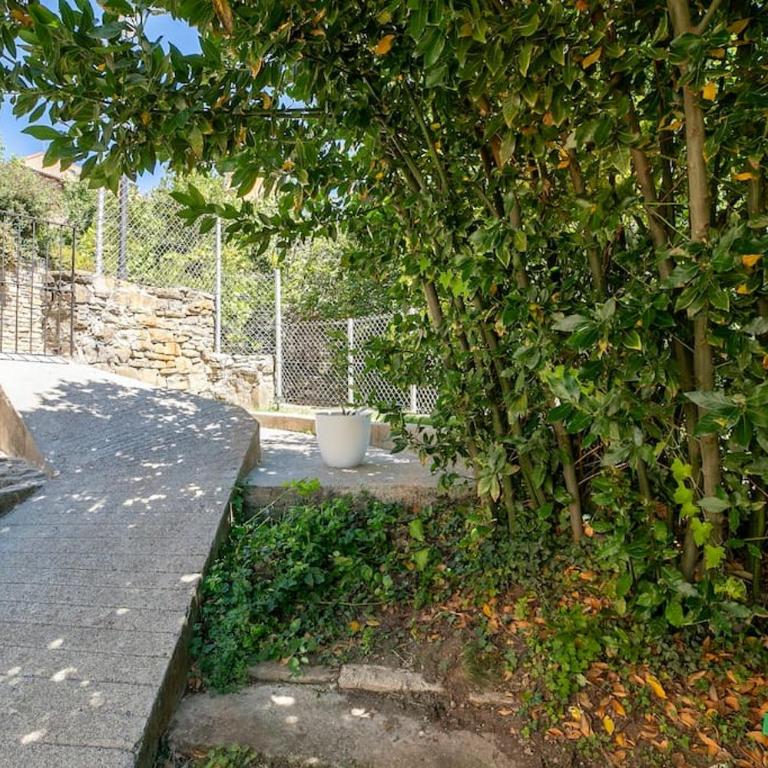 Casa Feli - APARTAMENTO con JARDÍN PRIVADO en los PIRINEOS - Apartment mit 2 Schlafzimmern - 33