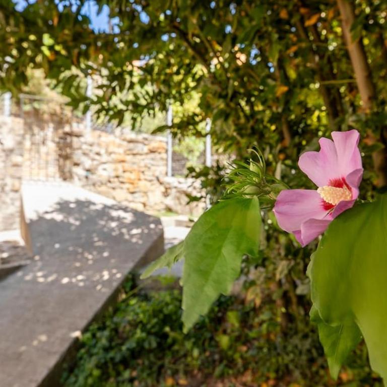 Casa Feli - APARTAMENTO con JARDÍN PRIVADO en los PIRINEOS - Apartment mit 2 Schlafzimmern - 35