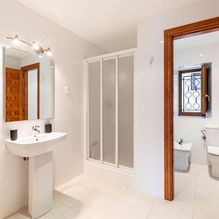 Casa Luis - APARTAMENTO con JARDÍN PRIVADO en los PIRINEOS - Apartment mit 3 Schlafzimmern - 22